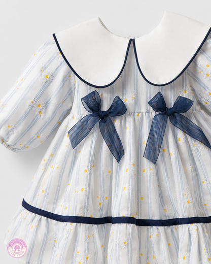 Daisy Charm Baby Dress