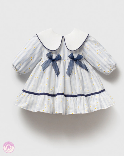 Daisy Charm Baby Dress