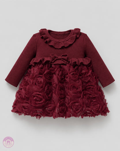 Rose Princess Newborn Baby Girl Dress & Blanket Set